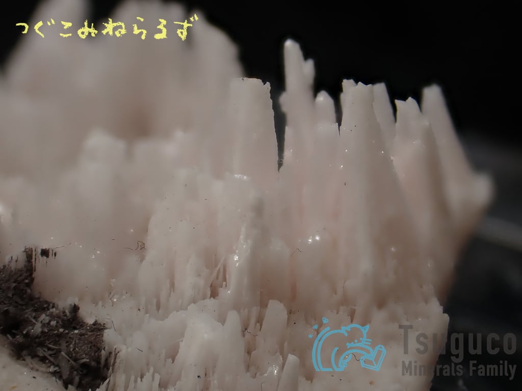 クトナホライト クトナホラ石 Kutnohorite 南アフリカ TM-0022