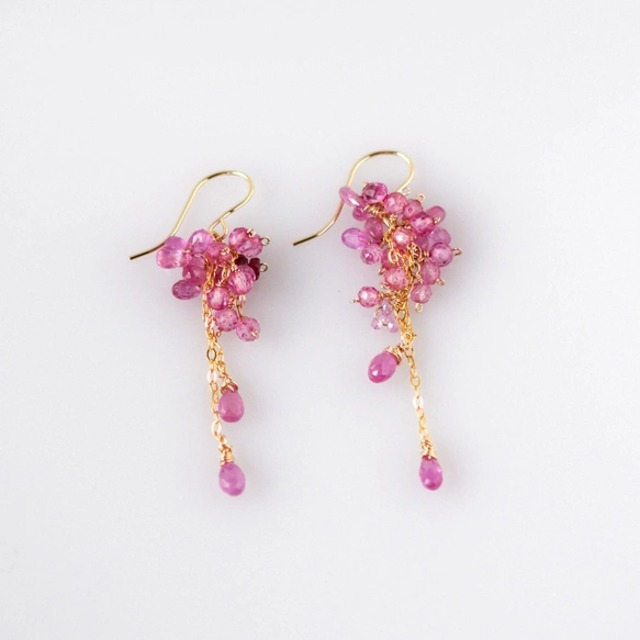 こぼれ落ちる桜のブッケットーピンクサファイアxルビーピアス 14kgf