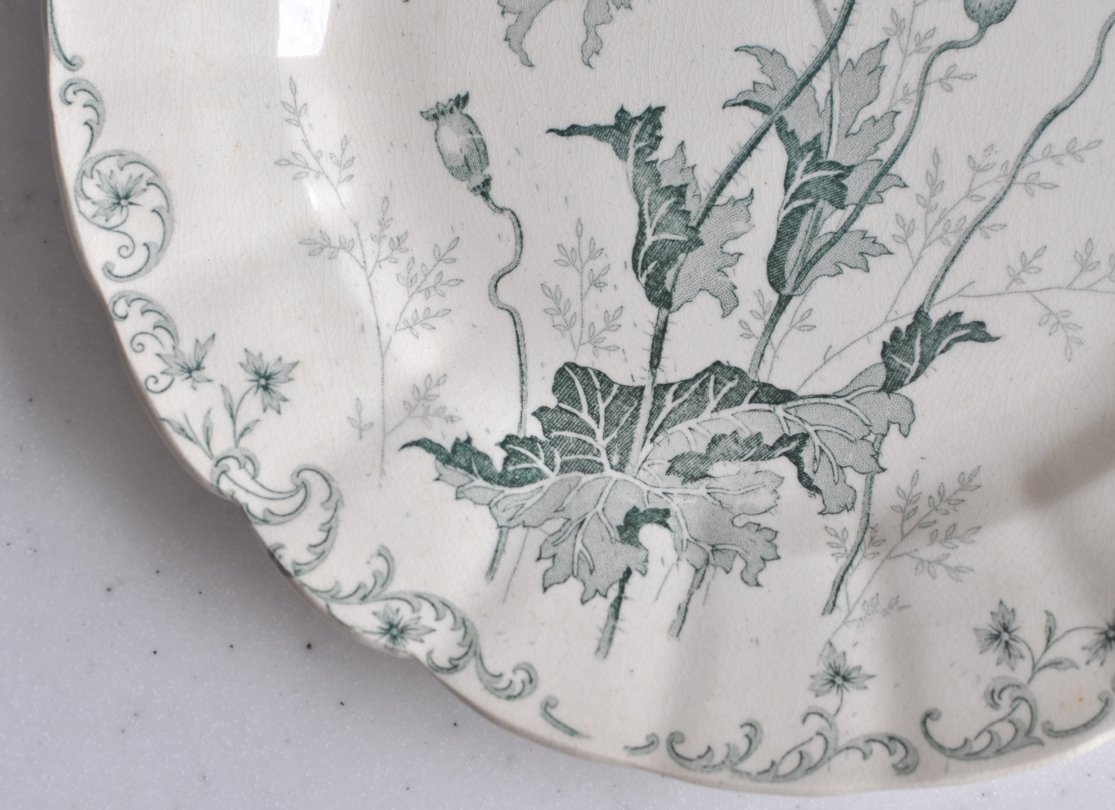 ショワジールロワ pavots 花リム フランスアンティーク皿②