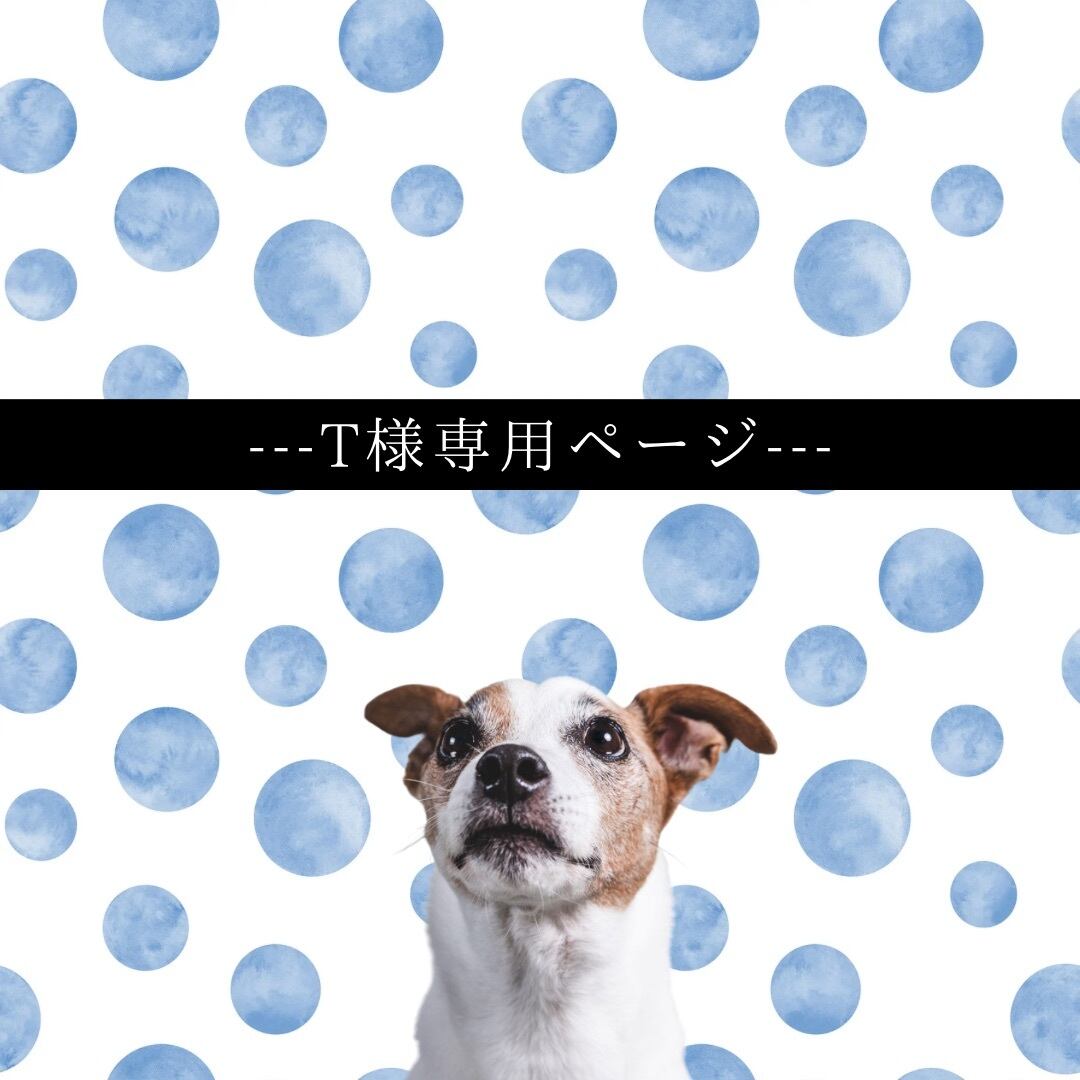 T様専用ページです！ T様専用ページ T様専用ページです。-衝撃特価
