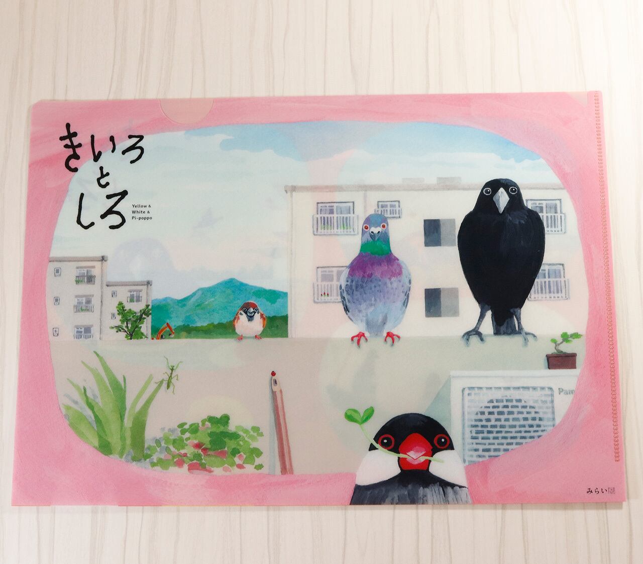 小亀たく クリアファイル A4サイズ | ことりカフェ公式