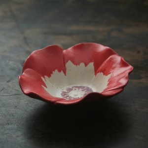 花小鉢 アネモネ 赤 (幅 10.5 cm) Anemone flower