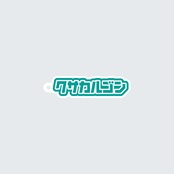 アクキー｜クサカルゴンロゴ[GON-0058]