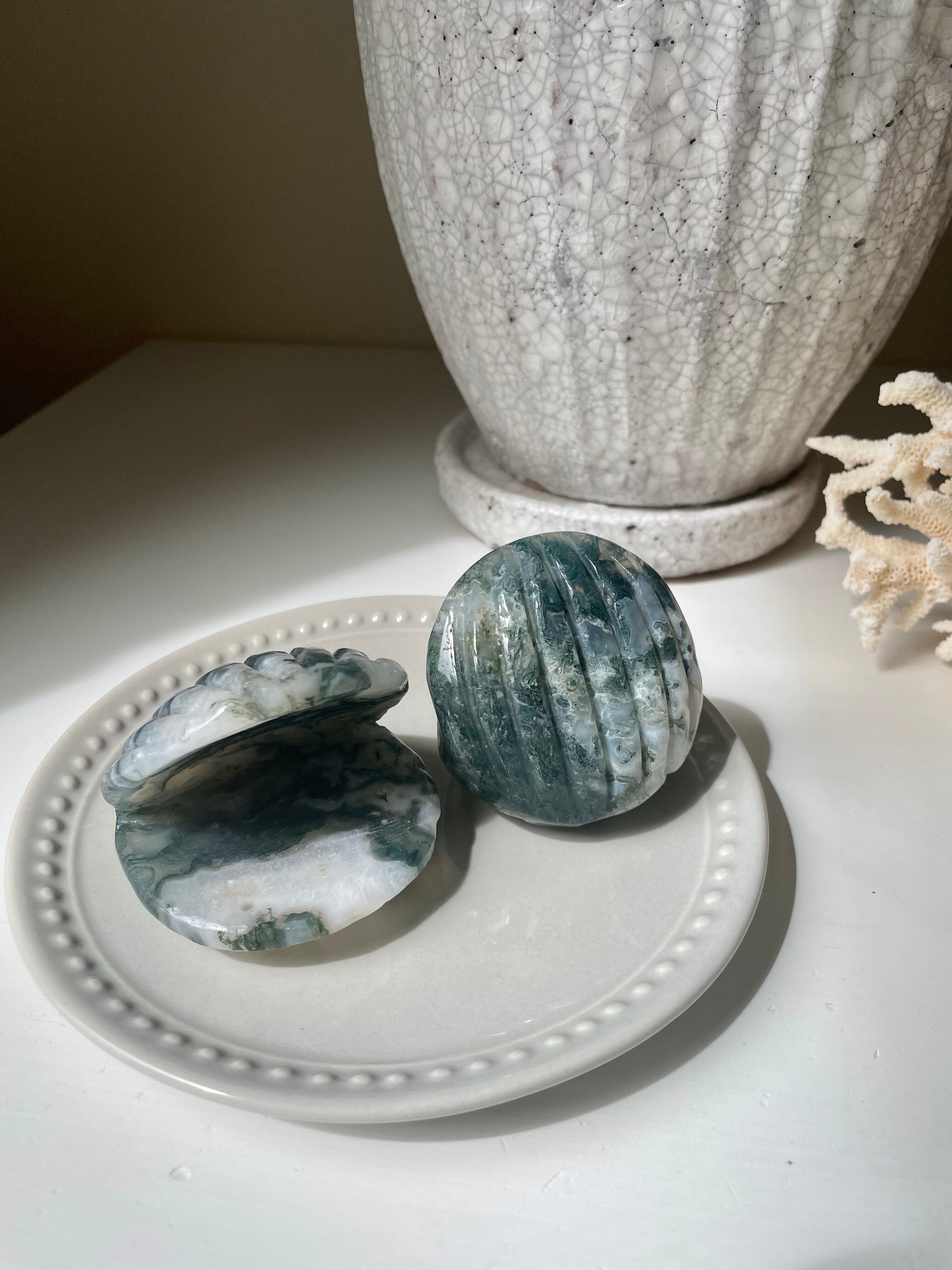 Moss Agate Shell / モスアゲート　貝