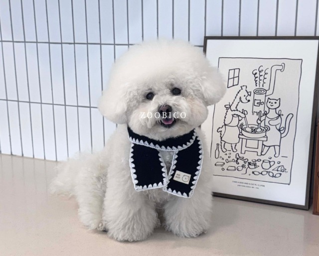［　予約　］／【ZOOBICO】CH muffler couple look （dog）