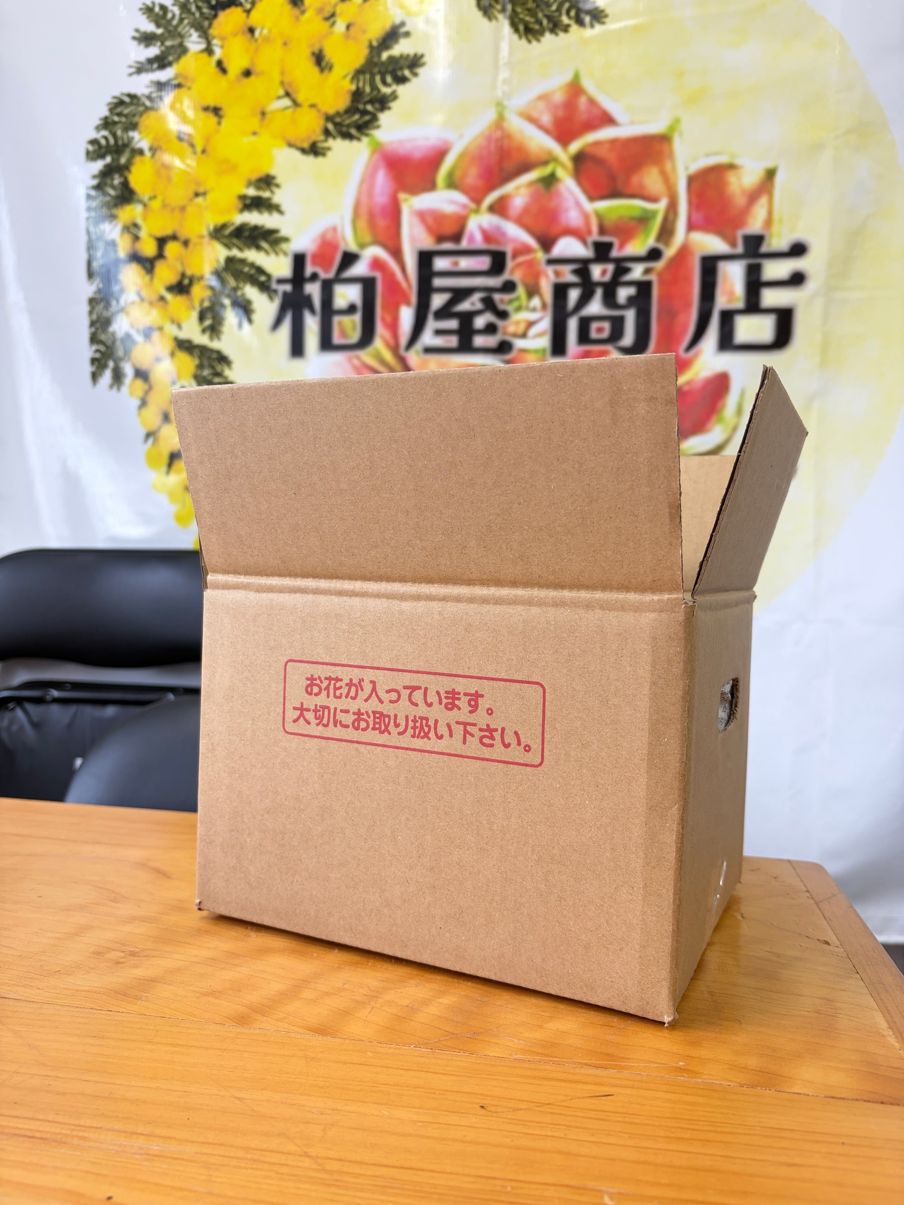多肉植物 | 柏屋商店