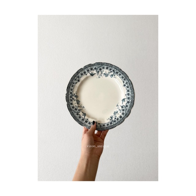 Choisy le roi ショワジールロワ EGLANTINES