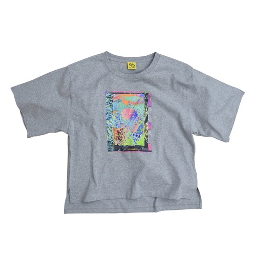 Two Faced BIG T-Shirts / Gray