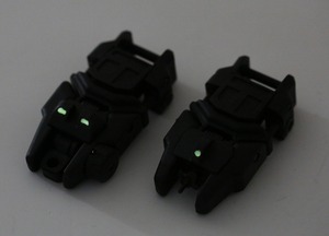 backup_sight_light_2