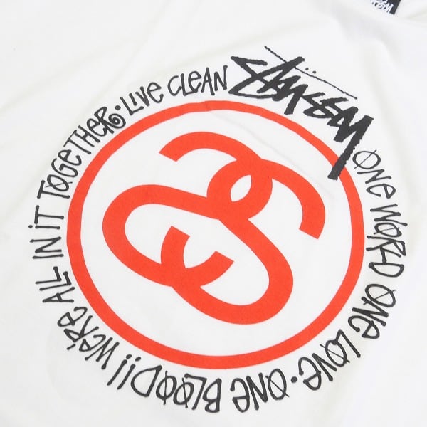 STUSSY ステューシー Sリンク Mサイズ Tシャツ 水色