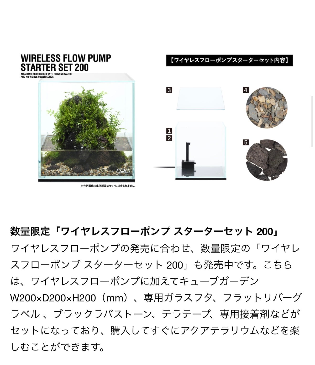 ADA正規品】アクアデザインアマノ NAサーモメーターJ-10WH ガラス製