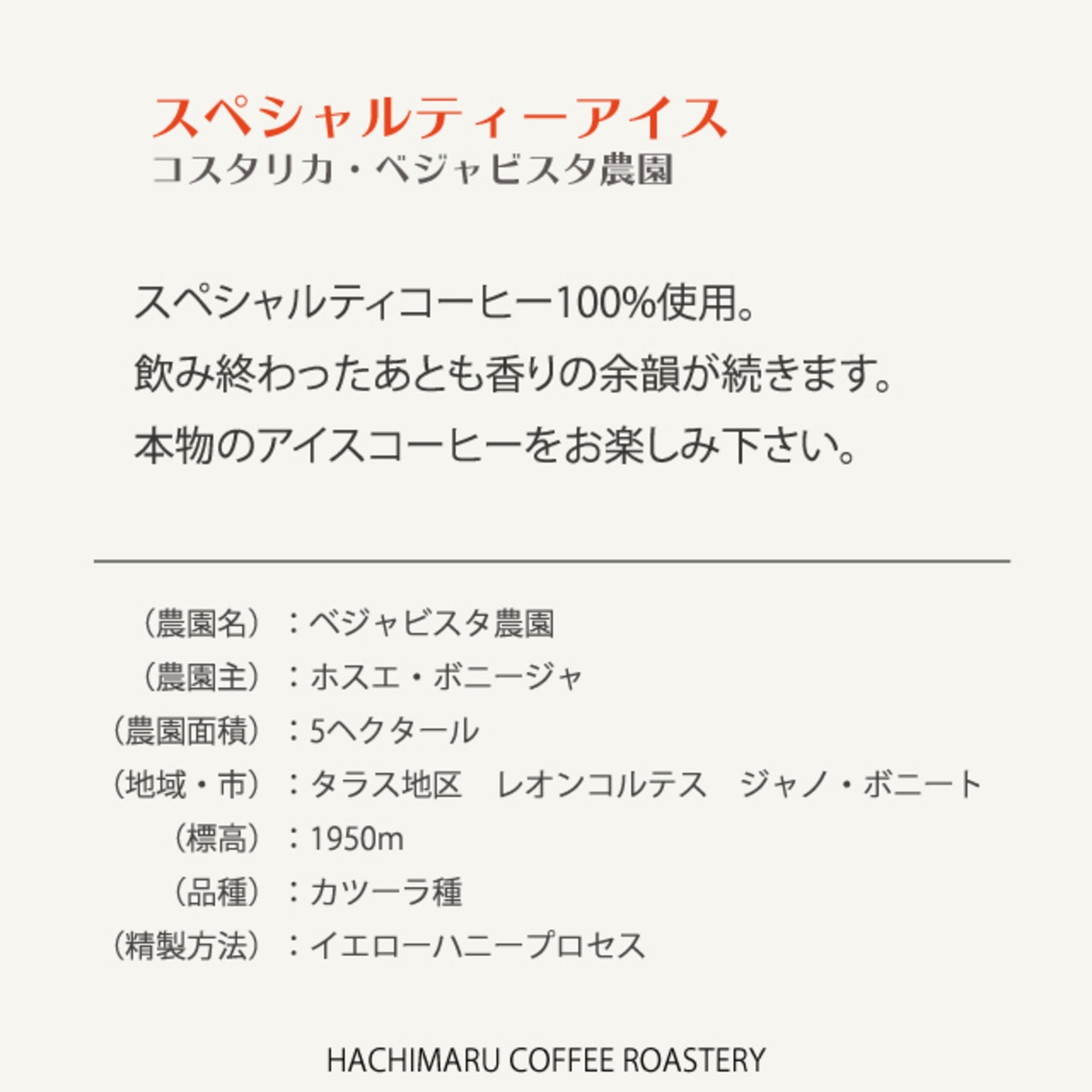 【珈琲豆100g】ハチマル・スペシャルティーアイス