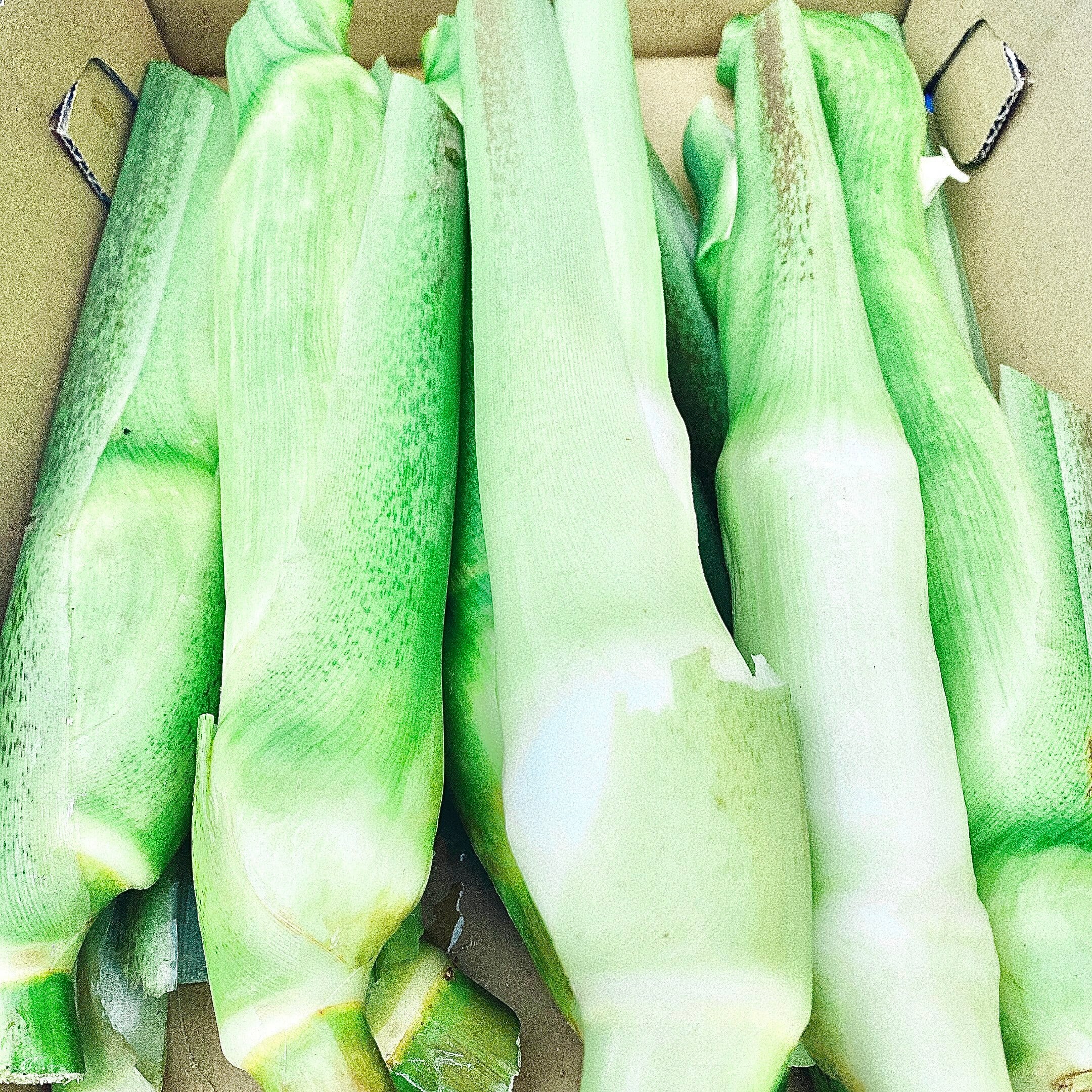 真菰葉1.6kg 真菰枕用替えマコモ葉（200g） | 自然栽培ササシグレ・固定種・無農薬