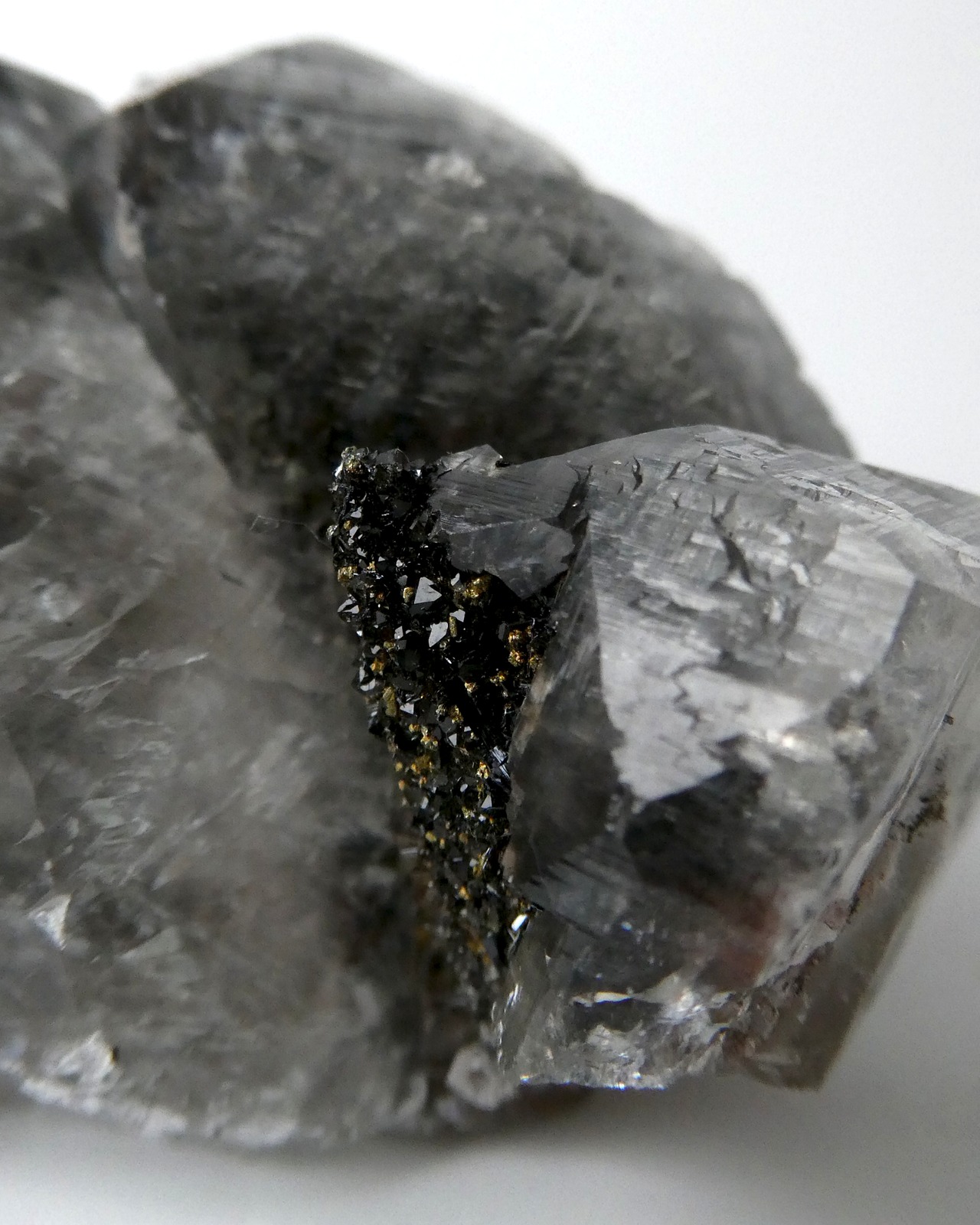 Black Diamond Calcite ブラックダイヤモンドカルサイト ⭓ 黒い侍 ⭔ MINERAL・原石＆鉱物