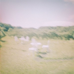 【1/15発売】【テープ】Preco / Afterwards