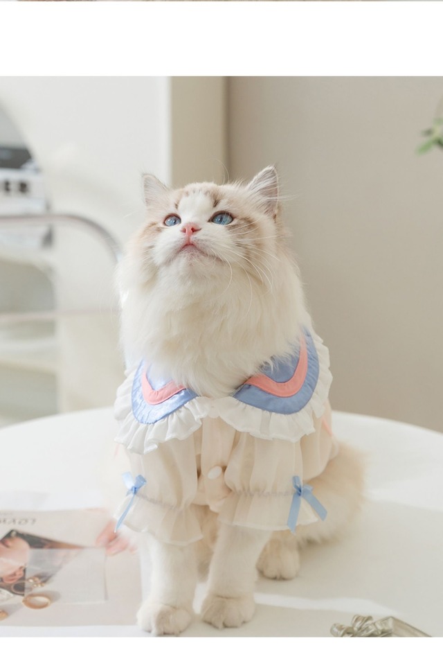Cat dress 0018