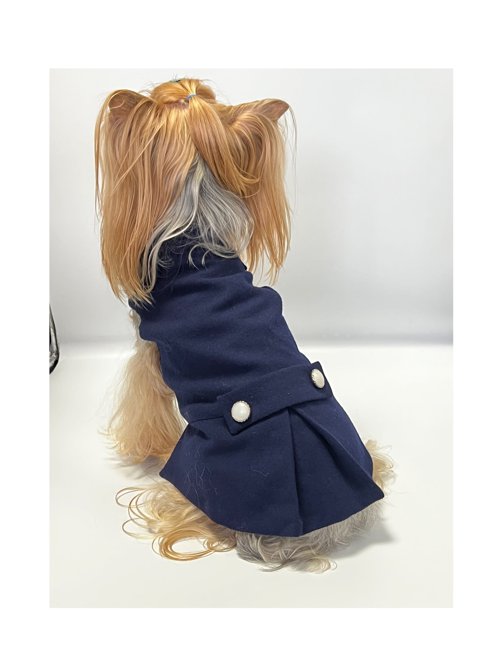 【オーダー】おおきな苺のハイネックロンT犬服 オーダー】おおきな苺のハイネックロンT犬服 いちご柄 - ウェアの人気