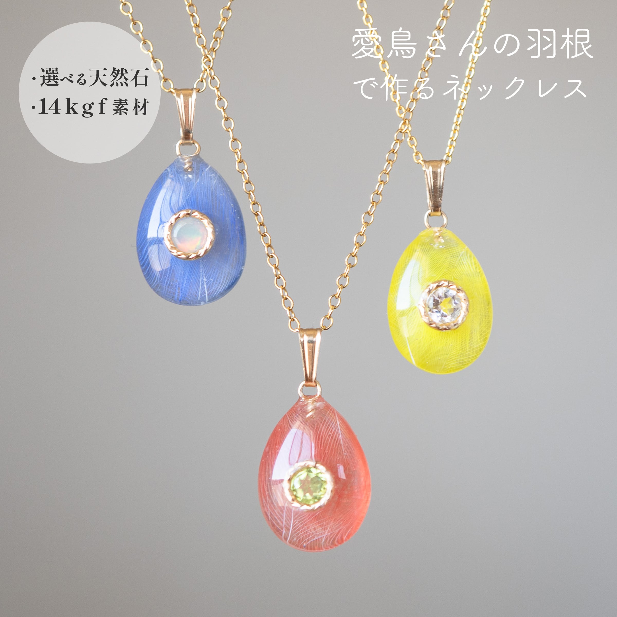 ふわり羽根工房 【本店】|| インコ・文鳥など愛鳥さんの羽根で世界で一