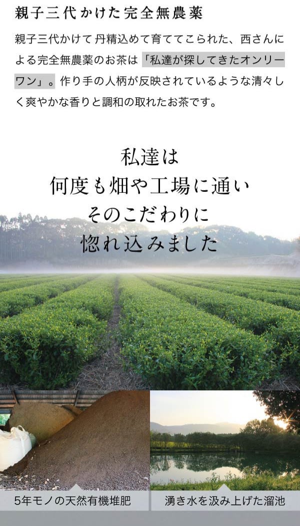 オーガニック抹茶 & 緑茶 ティーバッグ 各15袋セット 農薬不使用 化学肥料不使用