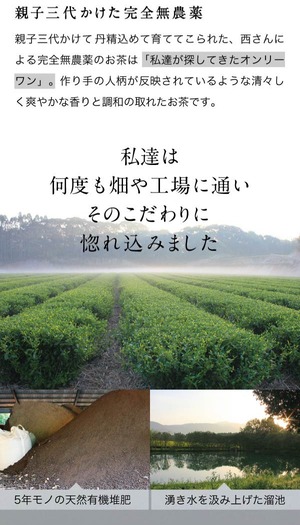 オーガニック抹茶 & 緑茶 ティーバッグ 各15袋セット 農薬不使用 化学肥料不使用