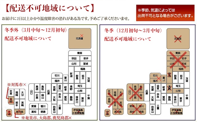 胡箔蘭【3本立／３３輪】金箔付き胡蝶蘭