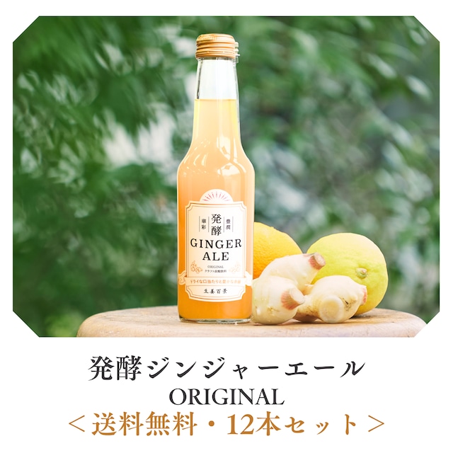 【送料無料・12本ｾｯﾄ】日本初の金賞受賞！発酵ジンジャーエール ORIGINAL 12本セット