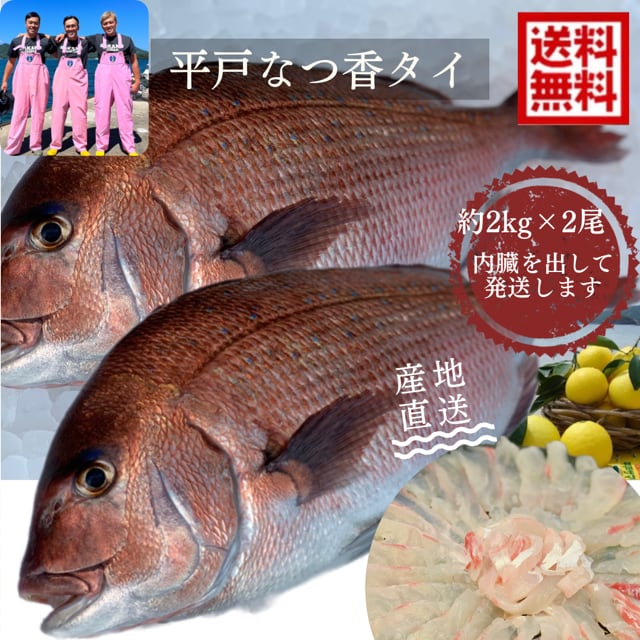 d411106花鯛 2.5/2.6替穂竹入り津軽 d411106花鯛 2.5/2.6替穂竹入り