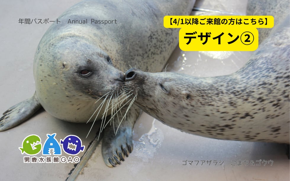 男鹿水族館GAO 年間パスポート新規作成/更新（小中学生） | 男鹿水族館