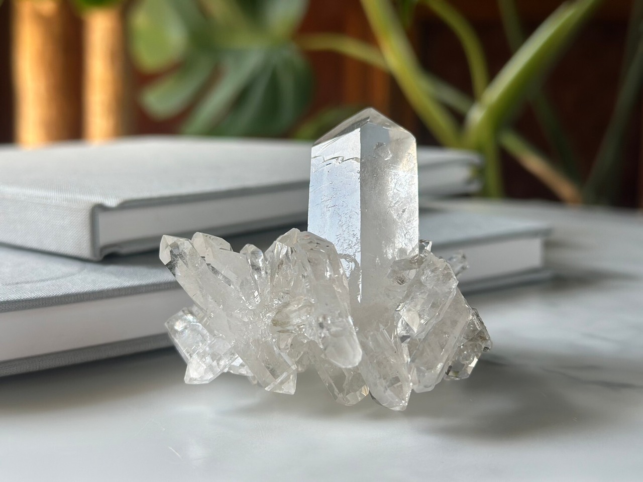 オートクチュール2