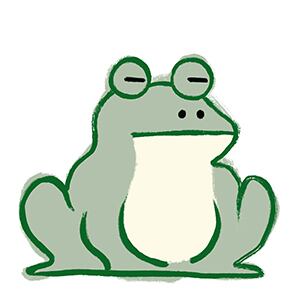 カエル靴下 | 8bit.t.d