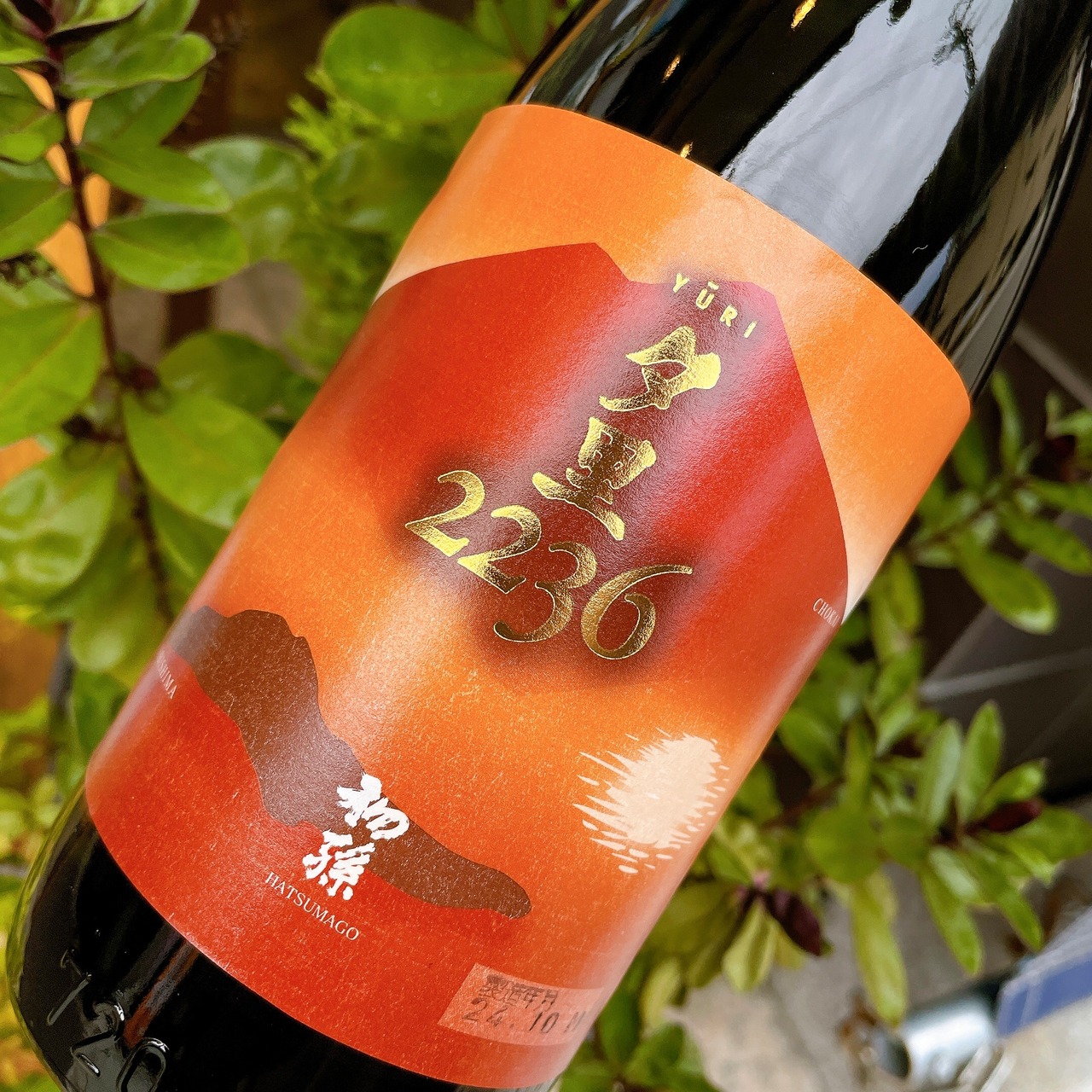 初孫　生酛純米吟醸　夕里　720ml