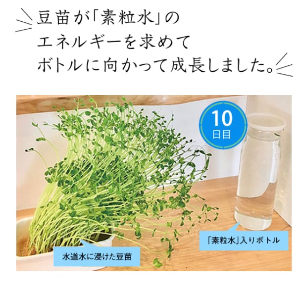 素粒水 台所用 | 白蜂 素粒水 台所用 | 白蜂