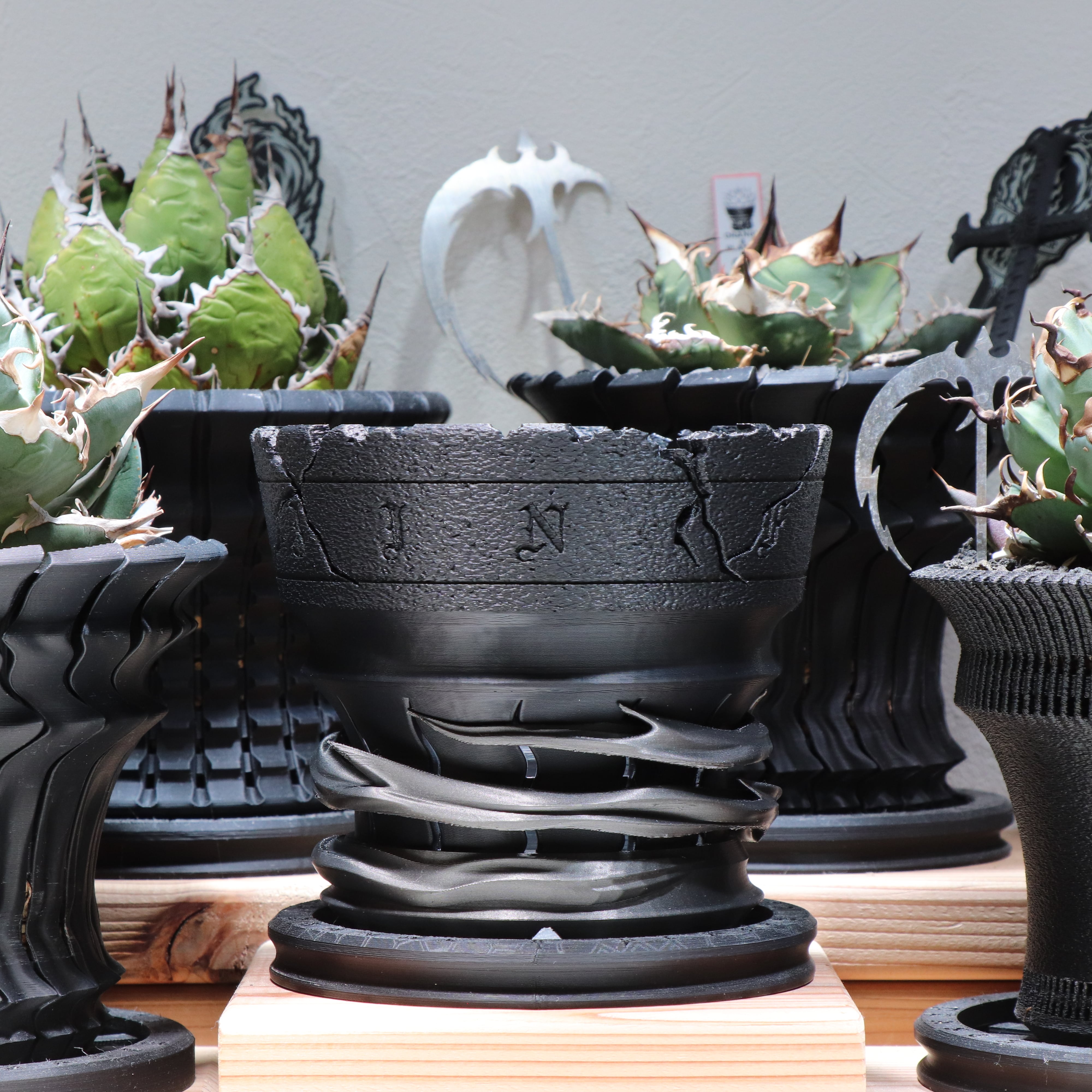 grafted　adam　silverman　叢　限定品　サボテン　多肉植物　鉢 grafted adam silverman 叢 限定品 サボテン 多肉植物 鉢 grafted adam