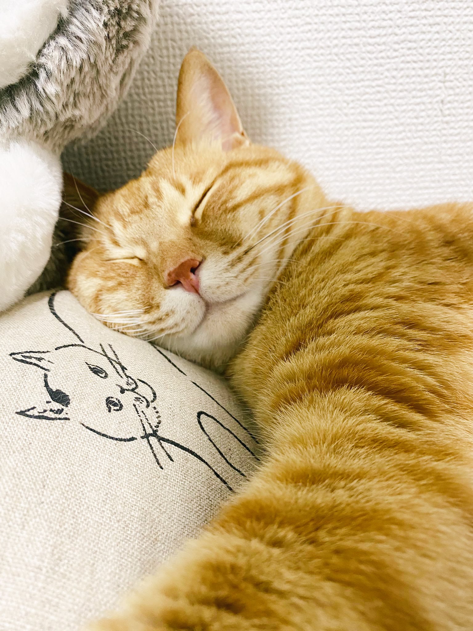 ネコまくら」〜ネコのまくらにちょうどいい、ダイカットミニクッション