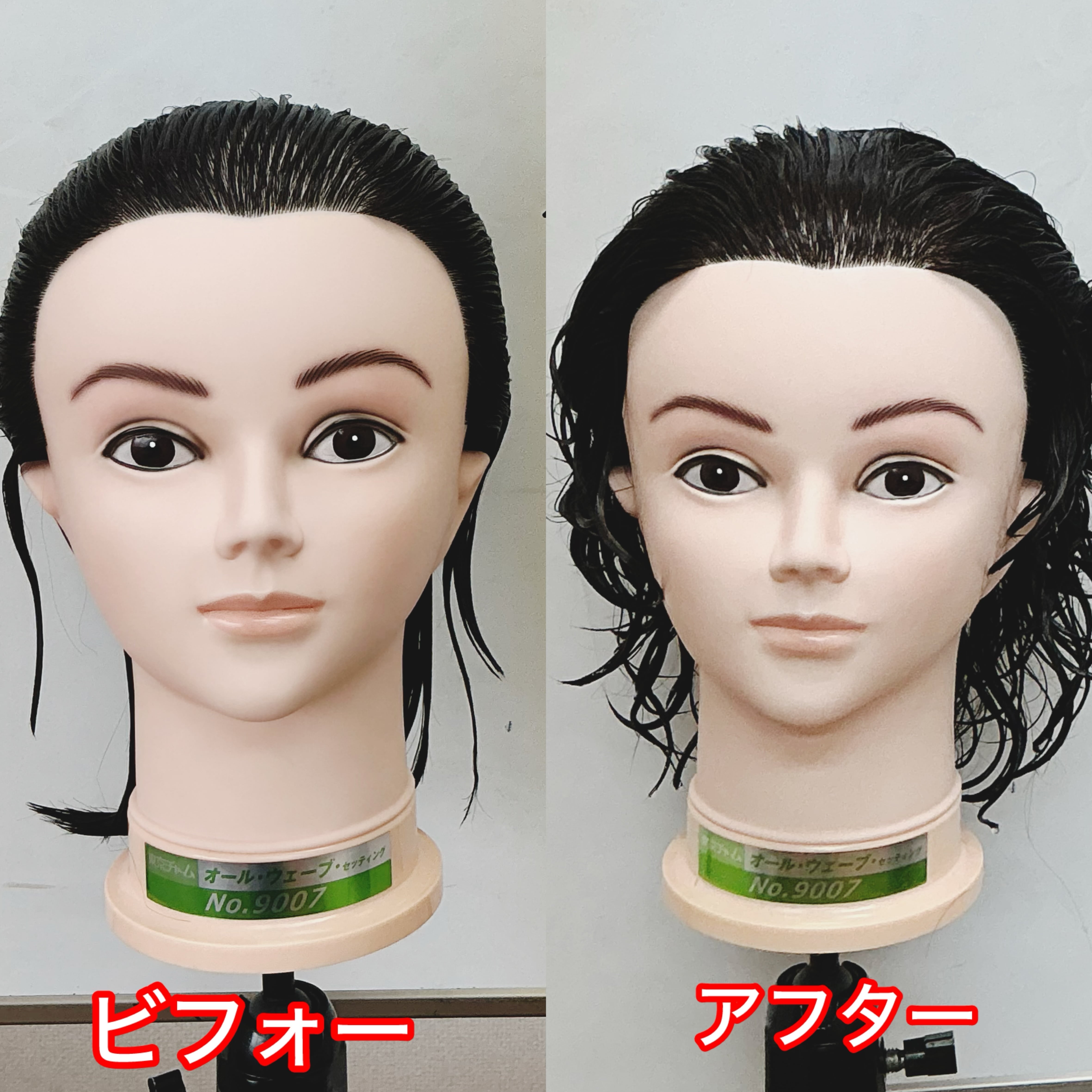オールウェーブ用カット済ウィッグ仕込専用 （美容師実技試験用オール