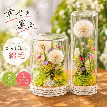 勿忘草のドライフラワー｜瓶詰めの森 | PAY ID