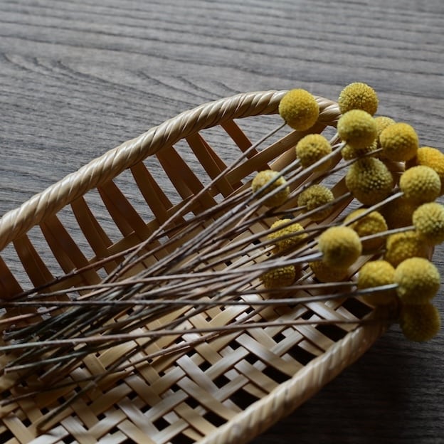 その他 e.t.c | casa rua［カーサ・ルア］