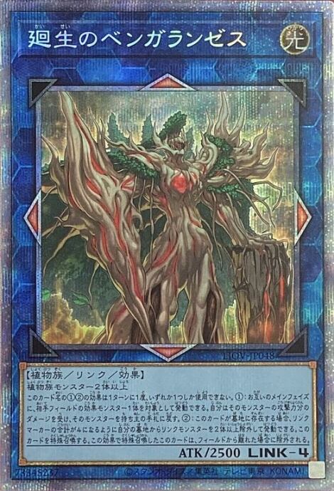 【Bランク】廻生のベンガランゼス(プリズマ)