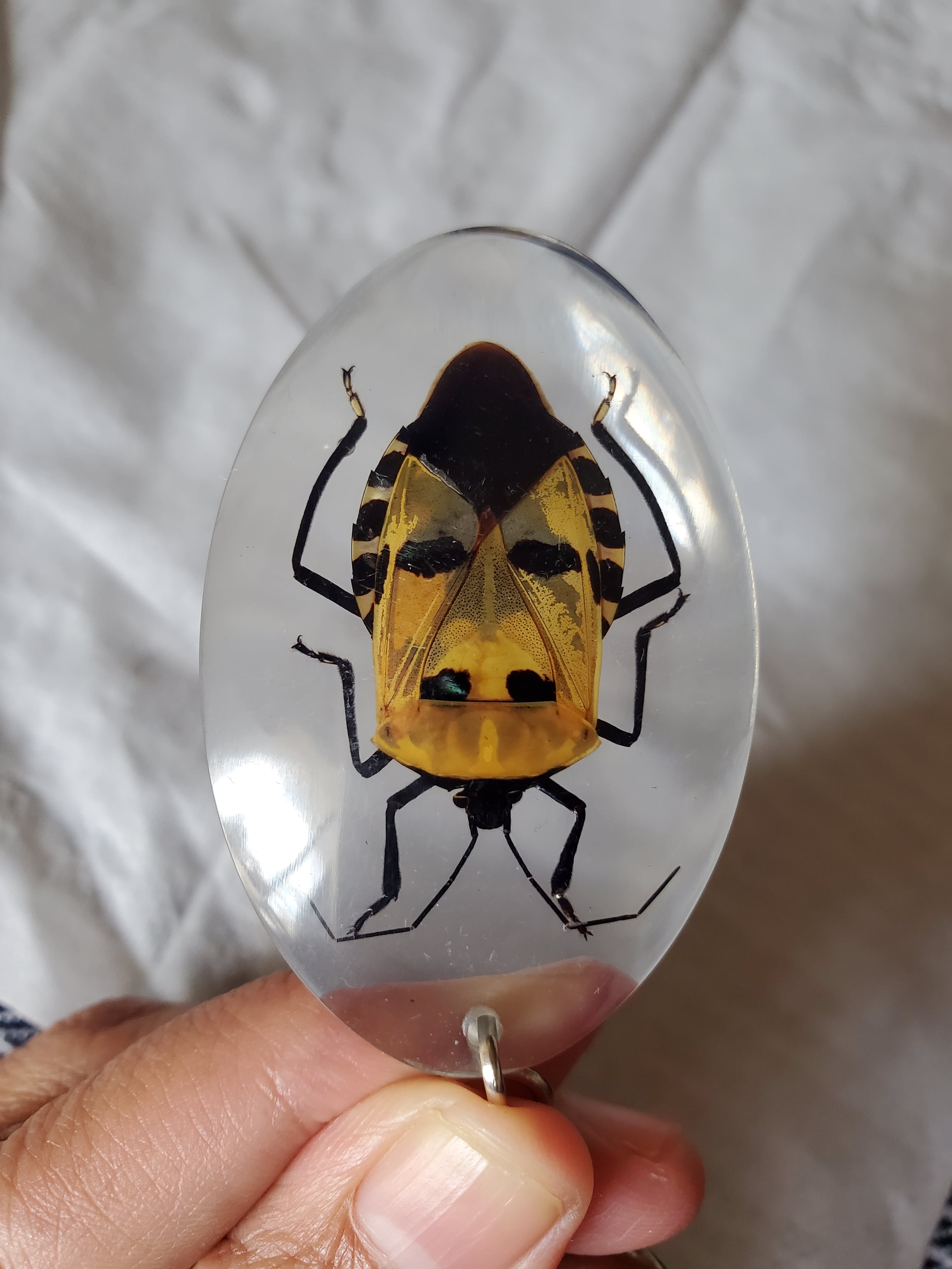 ハンドメイド レジン製 カメムシデザイン 装飾用小物 ハンドメイド レジン製 カメムシデザイン 装飾用小物 : Insect Keyring