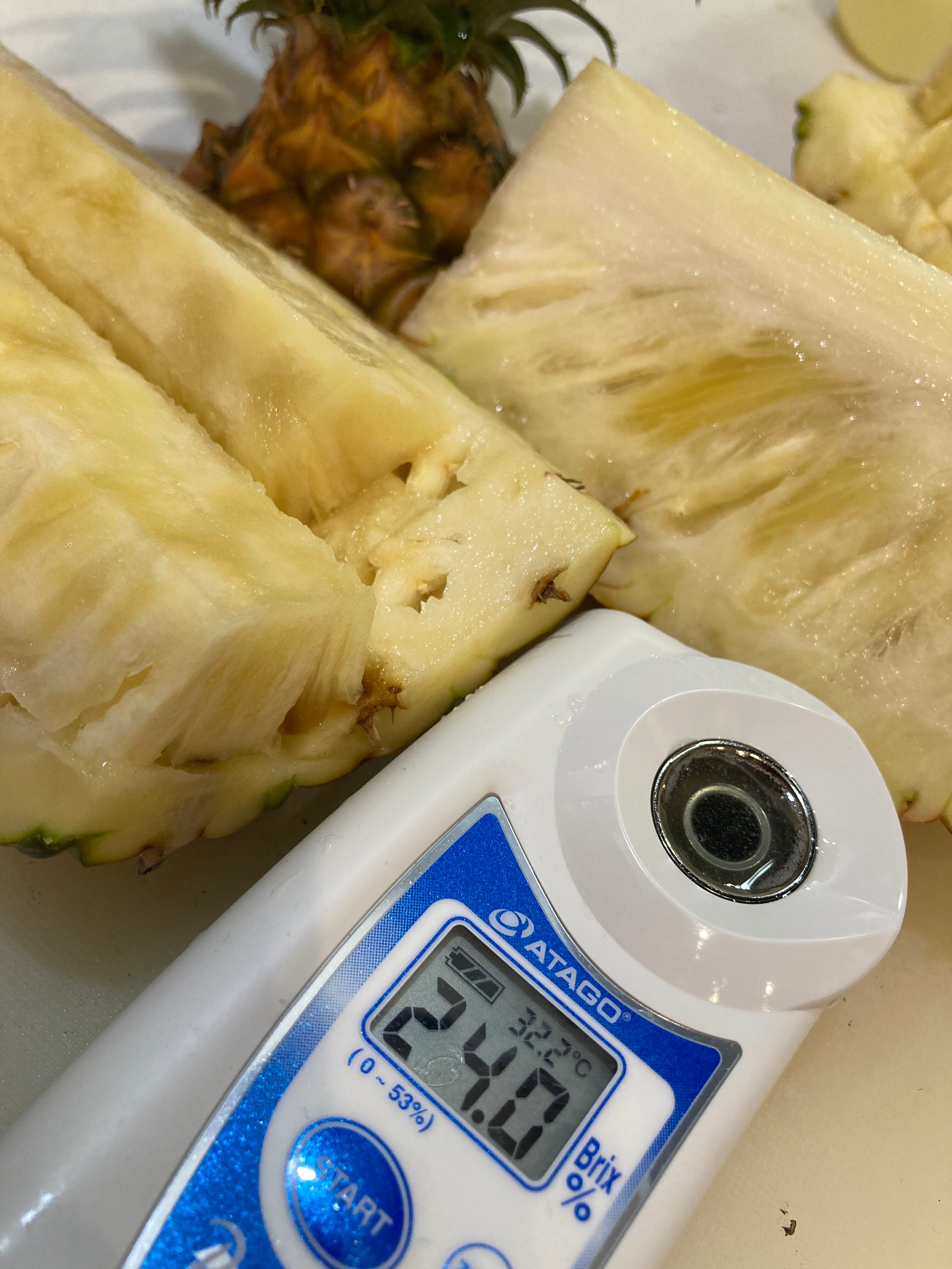先行予約】石垣島産ピーチパイン 特大箱（12玉以上で9キロ超） | 石垣