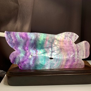 一点物☆希少！激レア！アロワナ・多彩なグラデーション♪レインボーフローライト置物