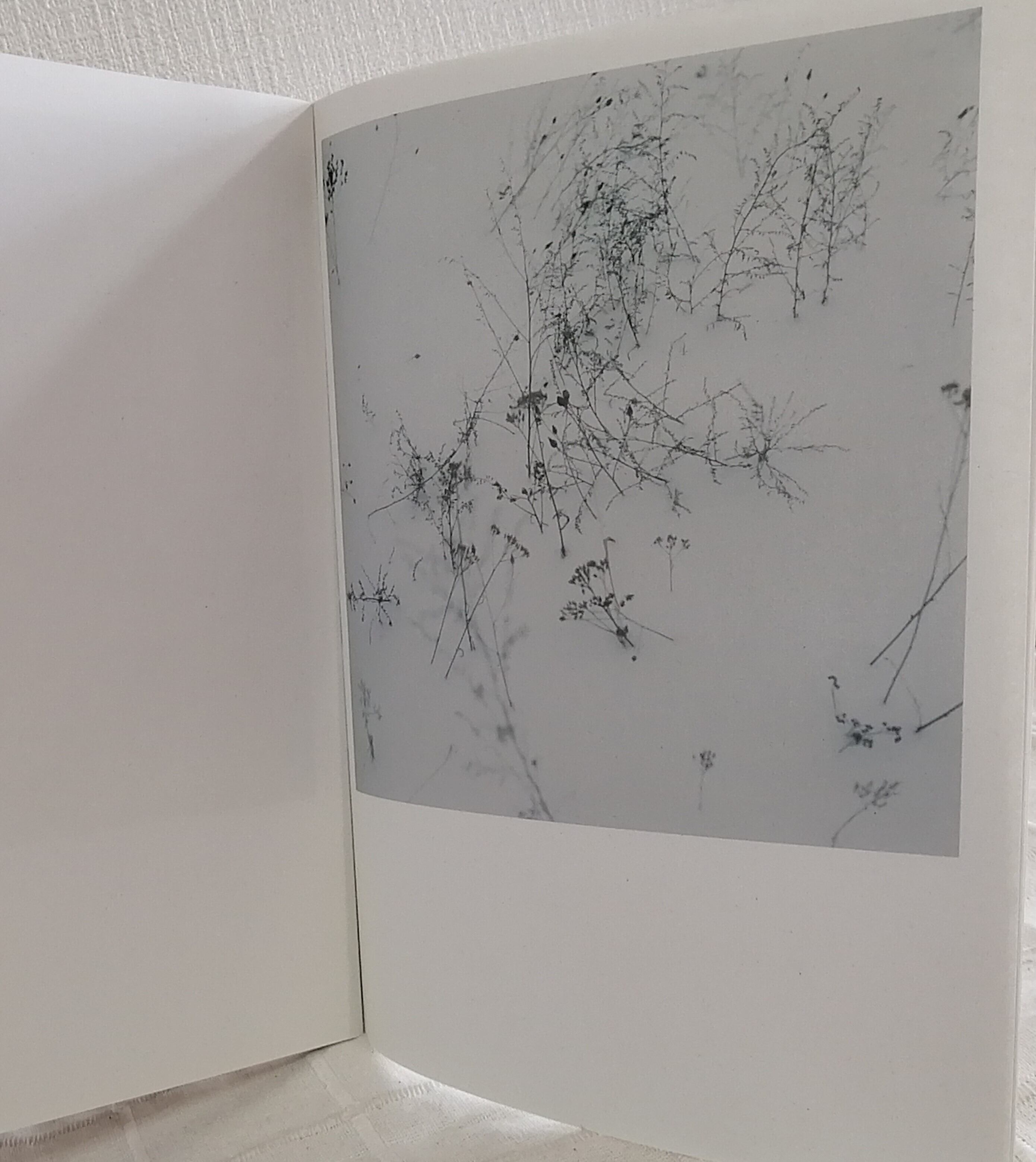 ANNE SCHWALBE WIESE (SIGNED) アンネ・シュヴァルベ 写真集 私家版