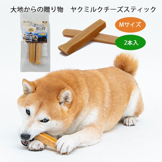 TK001G-M-2 HappyDays 大地からの贈り物 愛犬用スナック ヤクミルクチーズ Mサイズ2本入り　ハードタイプ　スティック　ヒマチ 犬用 おやつ