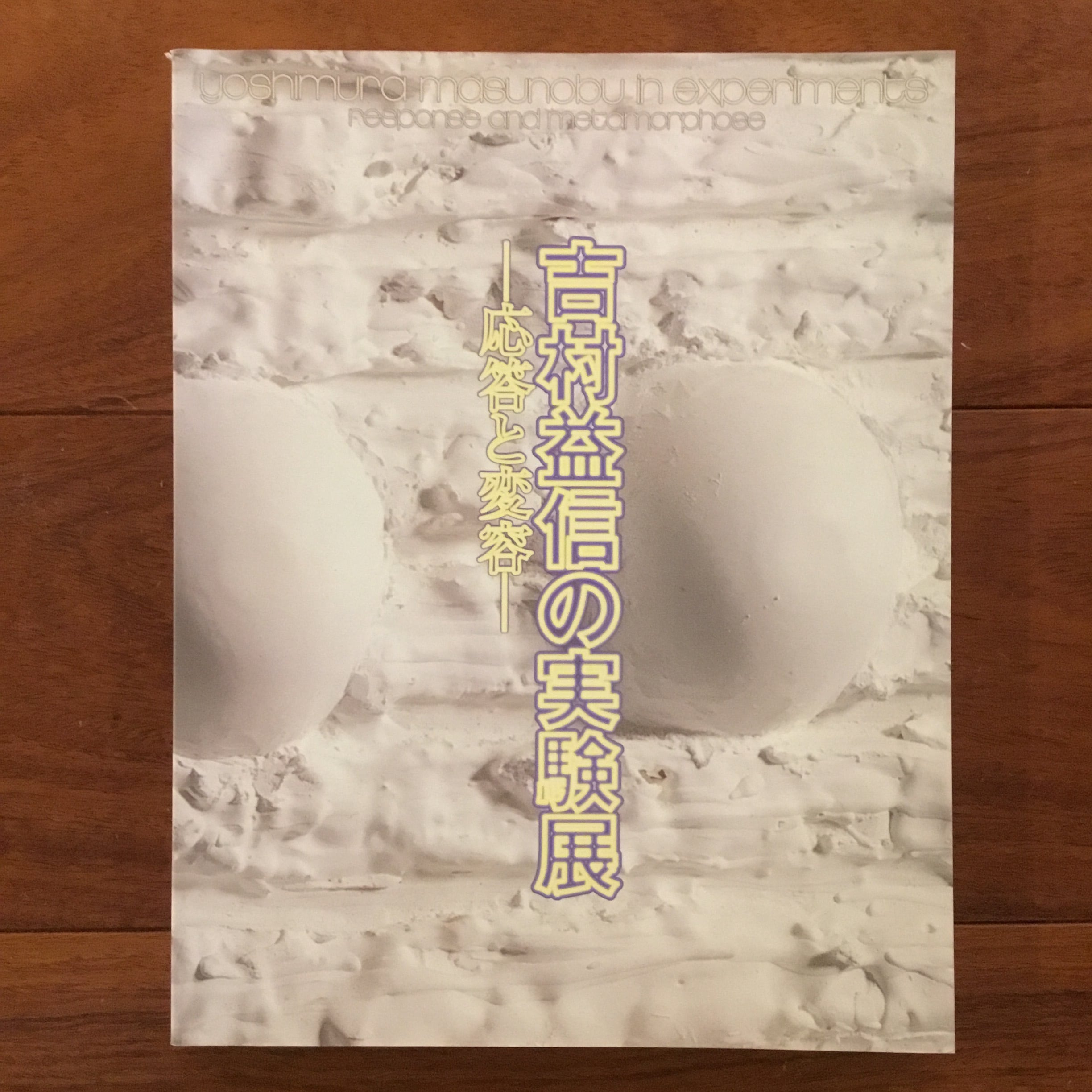 自然主義の可能性 現代社会科学批判 | Flying Books