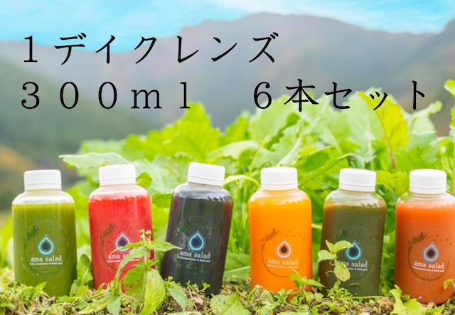 1デイクレンズ【ボトル３００ml】６本セット