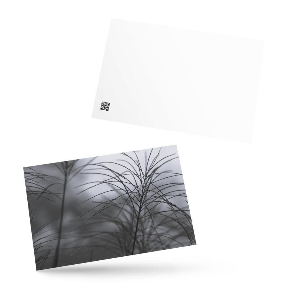 ヴィンテージ 小切手 10枚 紙モノ アメリカ ジャンクジャーナル ブルー