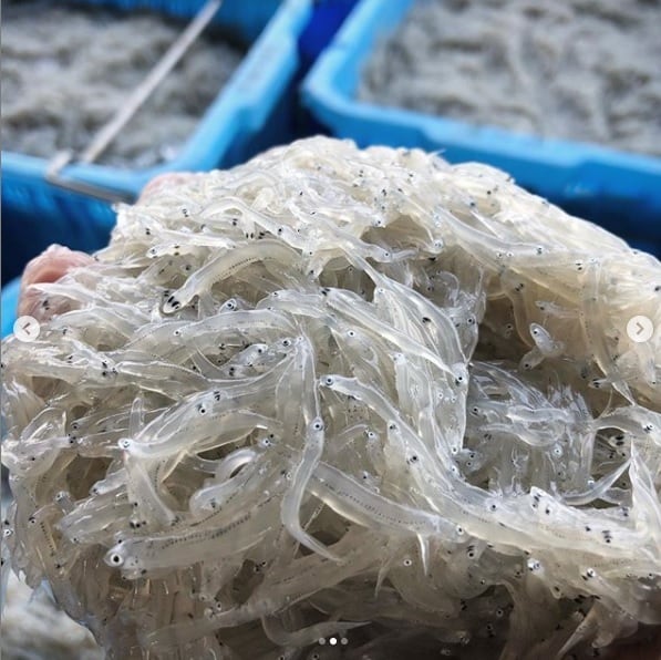 1f41d6f70d05171cc0c3caa5ec0af1