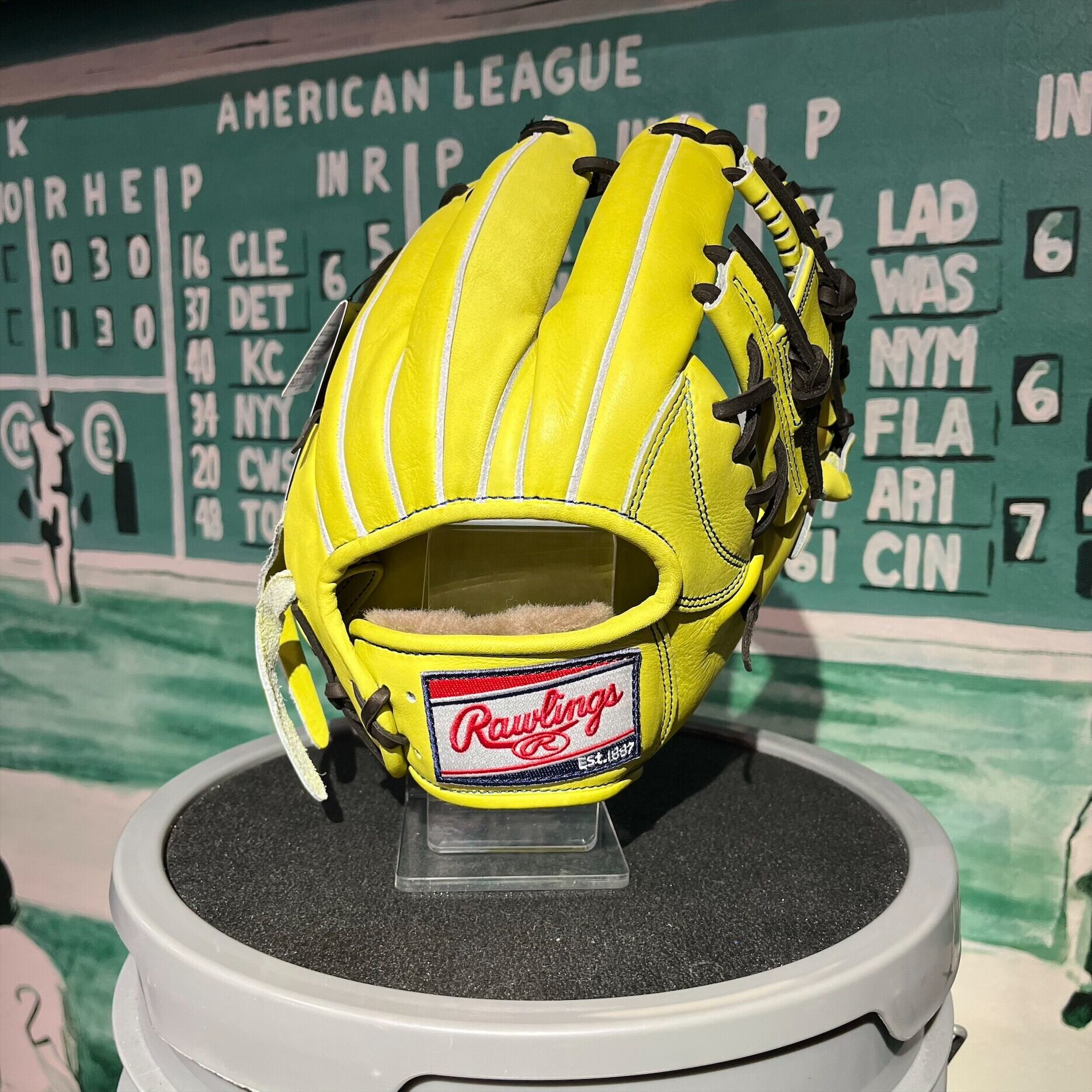 Rawlings ローリングス 硬式グラブ 内野手用 HOH PREMIUM GH5HPN6X