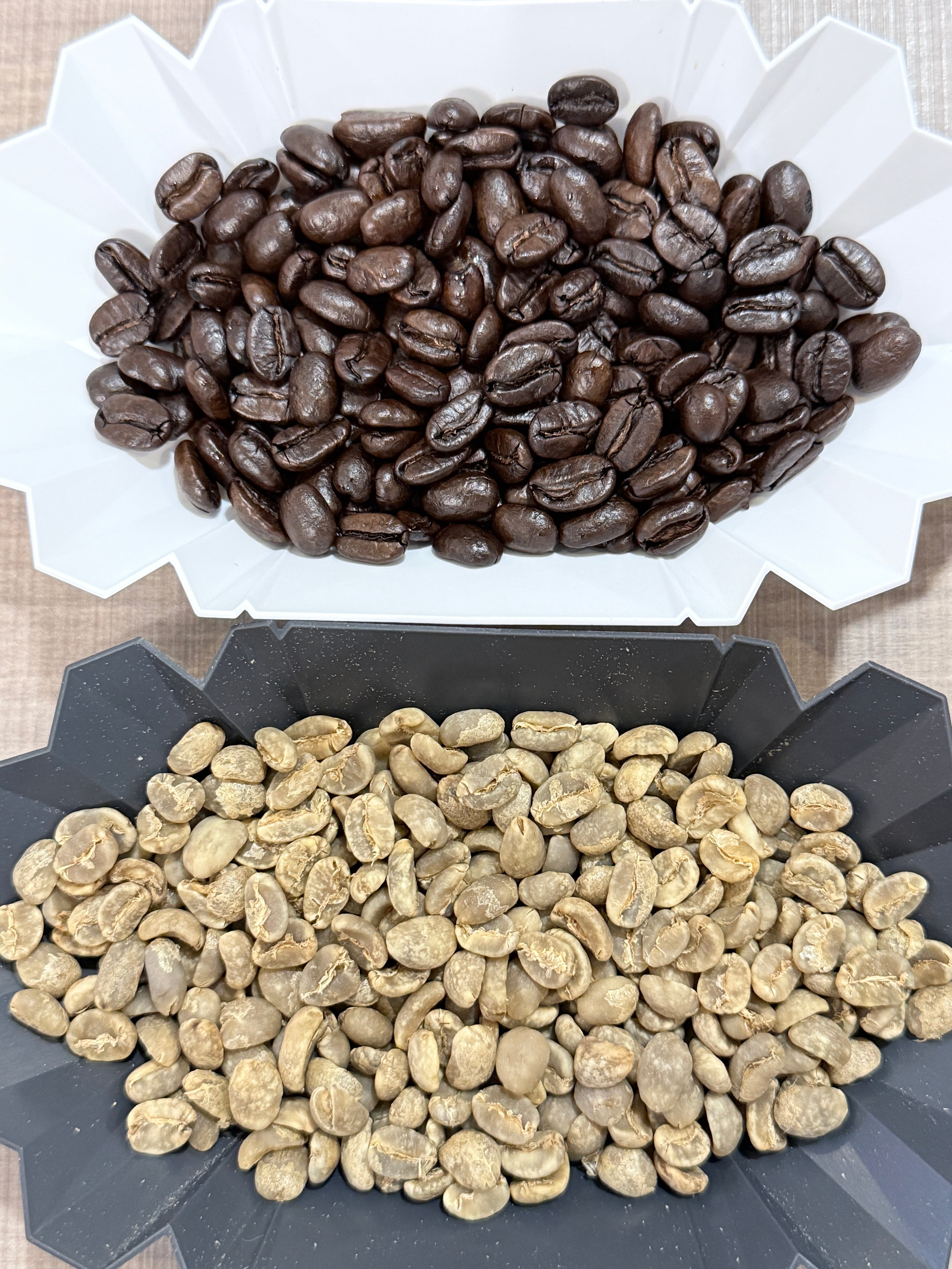 コーノ式 名門円錐フィルター クリア MDN-21（1〜2杯用） | 自家焙煎