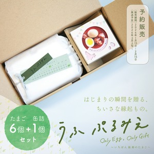 【期間・数量 限定販売】うふ ぷるみえ6個＋缶詰1個セット